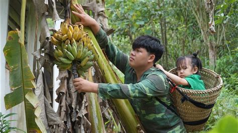 Father And Son Alone Picked Ripe Bananas And Brought Them To The Market