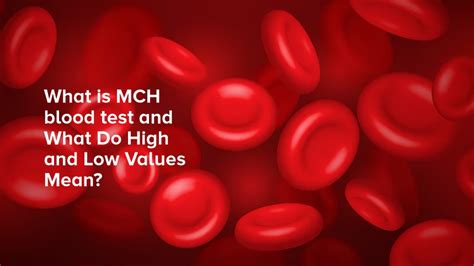 AMPATH Lab Understanding The Mch Blood Test High And Low Values Decoded