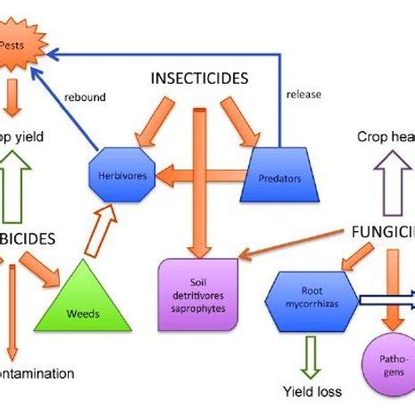 (PDF) The application of pesticides and mineral fertilizers in agriculture