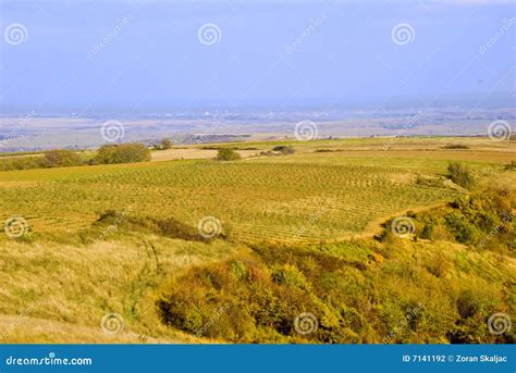 Autumn hills stock photo. Image of colours, trees, park - 7141192