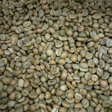 Robusta Coffee Bean Grade 2 Inaexport