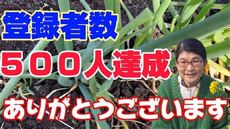 登録者数500人達成ありがとうございます😊 Youtube