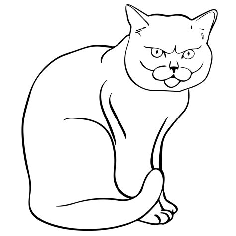 Породы кошек — раскраска для детей. Распечатать бесплатно.