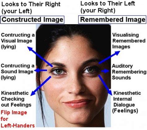 The Movement Pattern Of Eyes Can Be Interpreted Lying Eyes Signs Of