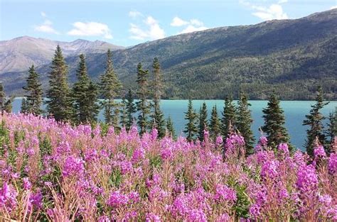 THE 10 BEST Things to Do in Skagway 2019 - Must See Attractions in ...