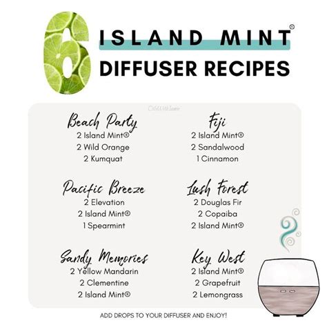 Island Mint Summertime Blend Refreshing And Uplifting Essential Oil