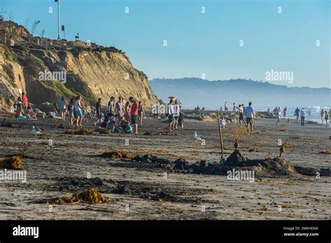 Beach of Del Mar, California, USA Stock Photo - Alamy