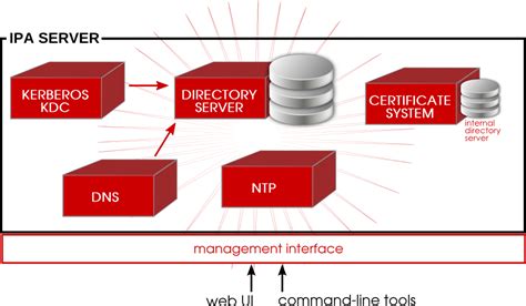 Freeipa Identitypolicy Management