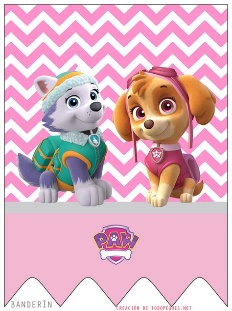 Kit Imprimible Paw Patrol Skye Y Everest Todo Peques