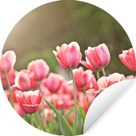 Wallcircle Muurstickers Behangcirkel Tulpen Zon Lente