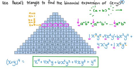 Pascals Triangle Binomial Expansion