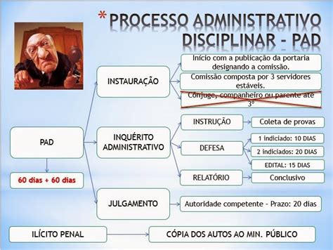 Direito Administrativo Lei Processo Administrativo