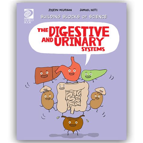 The Digestive and Urinary Systems | World Book