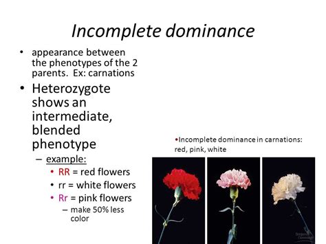 Exceptions To The Rules Ch And Extending Mendelian Genetics