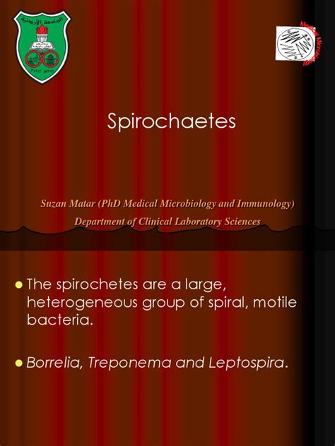 Spirochetes | PDF | Lyme Disease | Animal Diseases