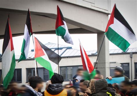 Palästina Demo in Wolfsburg verlief weitestgehend störungsfrei