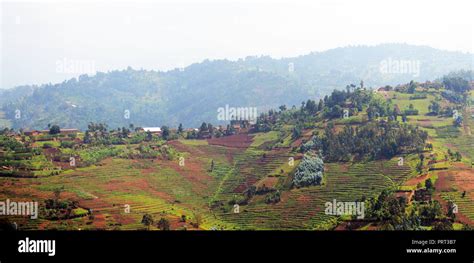 Rural landscapes in western Rwanda Stock Photo - Alamy