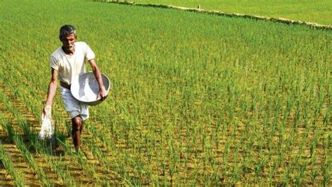 A Rain Dampener For Kharif Crops This Monsoon Poses Price Risks Mint