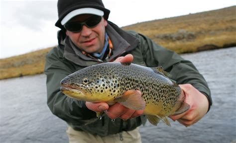 Fishing in Iceland close to Reykjavik. Brown trout and salmon fishing in Reykjavik