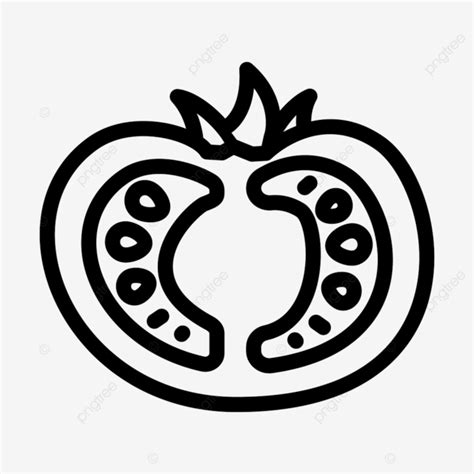 Half Tomato Line Icon Vector Tomato Drawing Tomato Sketch Prepare