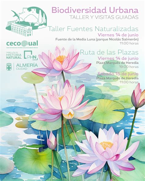 TALLER FUENTES NATURALIZADAS RUTA DE LAS PLAZAS Pabellón de