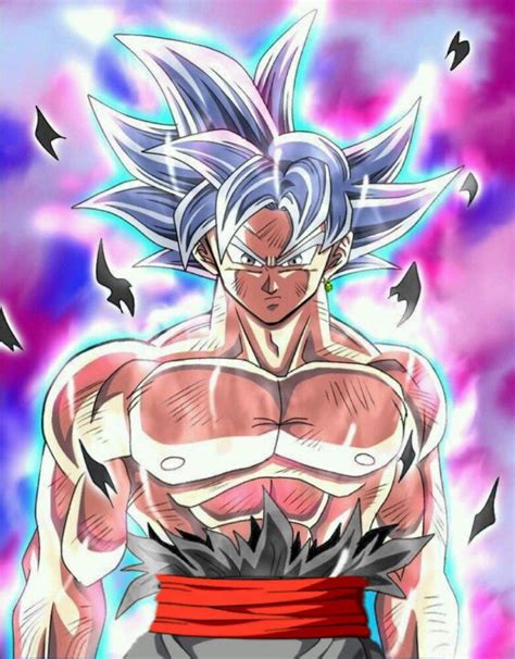 Goku Black Mastered Ultra Instinct Dragon Ball Super Anime Dragon