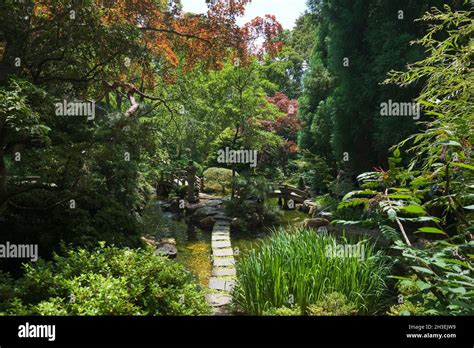 A Stone Path Through The Water In The Japanese Garden Section At