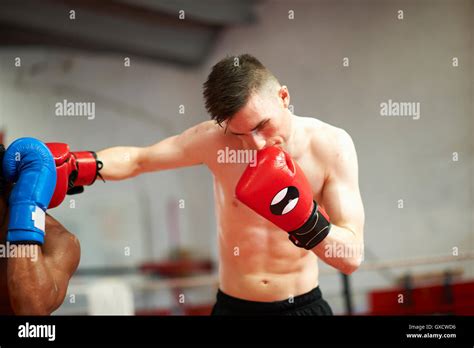 Two Boxers Sparring High Resolution Stock Photography And Images Alamy