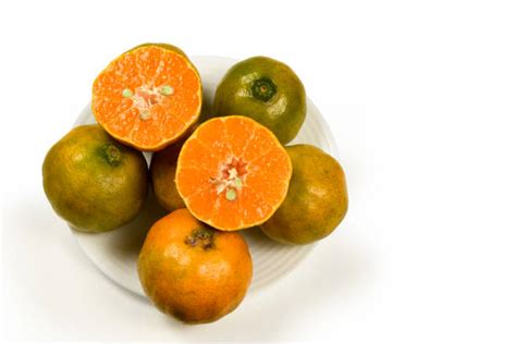 130 Tangold Mandarins Stock Photos Pictures And Royalty Free Images