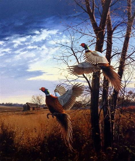 Wildlife Artist David Maass Unframed Print Evening Flight Pheasants