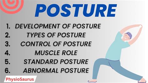 Posture Types Of Posture Standard Posture Postural Control