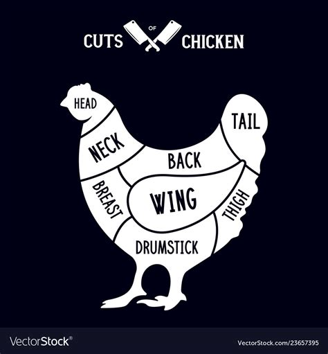 Meat cuts - chicken diagrams for butcher shop Vector Image