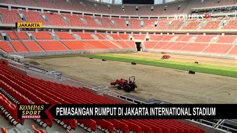 Rumput JIS Diganti Total Dengan Standar FIFA Gunakan Rumput Jenis