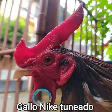 Nike - Meme subido por Sir.Memes03 :) Memedroid