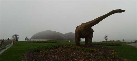 El Museo Del Jur Sico De Asturias Una Y M S Rutas