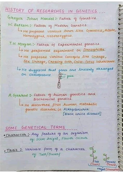 Genetics Biology Hand Written Notes Best By Best Chemistry Teacher Sir