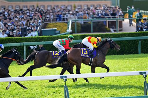 東京優駿（日本ダービー）2024 有力馬情報｜g1特集｜競馬情報ならjra Van