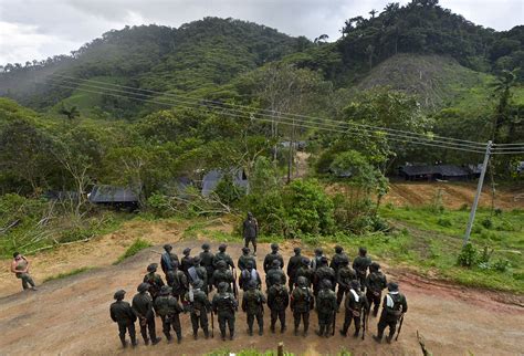 Al Menos 40 Miembros De Las Farc Han Sido Asesinados Tras Firma De La