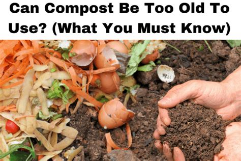 Can Compost Be Too Old To Use What You Must Know Gardeners By Trade