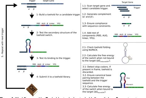 Figure 2 From A Software For Automated Design And In Silico Validation