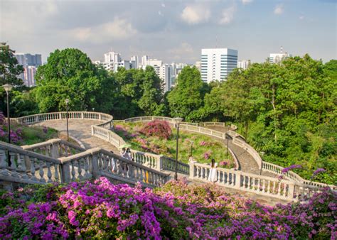 19 hidden parks and secret gardens in Singapore | Honeycombers