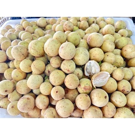 Jual Duku Palembang Buah Duku Palembang Buah Duku Manis Kg Shopee