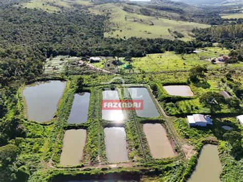 Mil Fazendas Propriedade para piscicultura a venda ChÃcara total