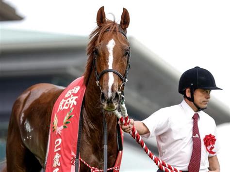 【阪神jf想定騎手】ボンドガールはtマーカンド騎手、コラソンビートは横山武史騎手（）｜dメニューニュース（nttドコモ）