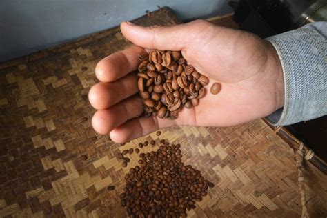 Negara Penghasil Kopi Terbesar Di Dunia Indonesia Salah Satunya