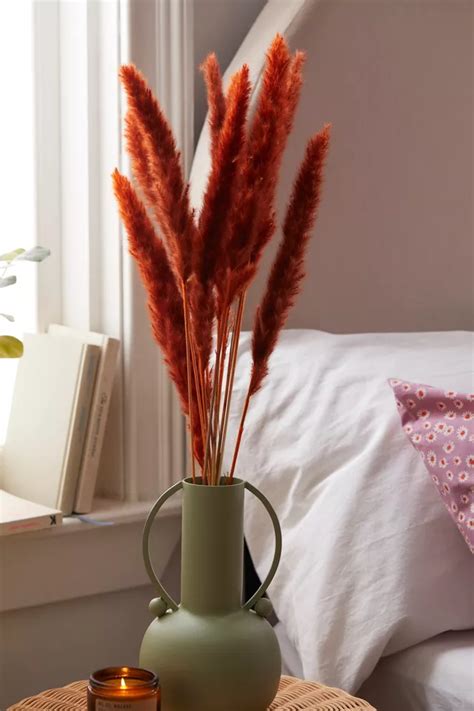 Dried Natural Pampas Grass Bunch Urban Outfitters