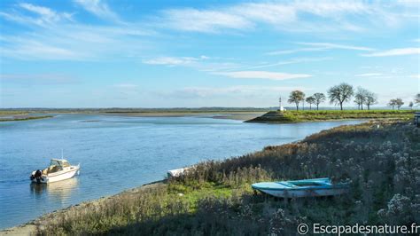 BAIE DE SOMME SAINT VALÉRY SUR SOMME Escapades Nature