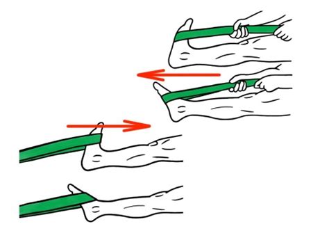 PreHab Exercises - Plantar Flexion and Dorsi Flexion with Resistance ...