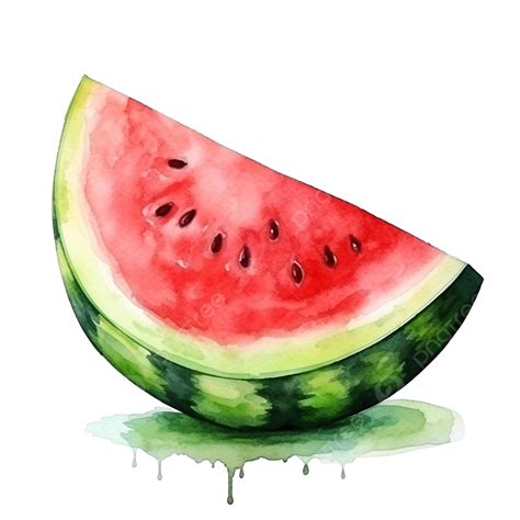 Watermelon Watercolor Illustration Sweet Watercolor Natural Png