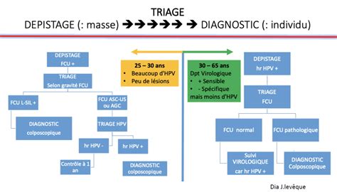 Synth Tiser Articles Sur Le Sujet Test Hpv Positif Que Faire